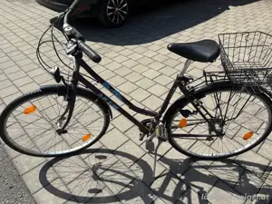 fahrrad ktm life Bild 3