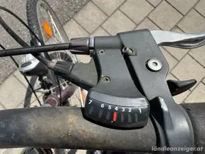 fahrrad ktm life Bild 2