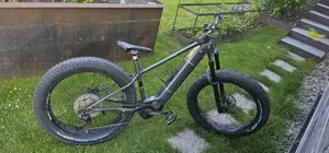 Top  Fat E-Bike Bild 3