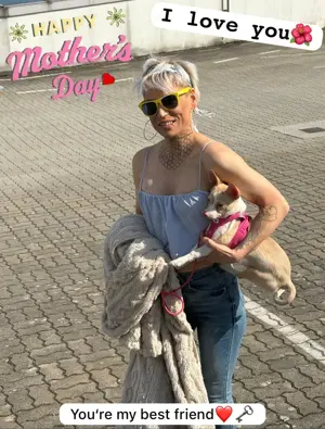 Waschen, kämmen, fönen Hunde Bild 2