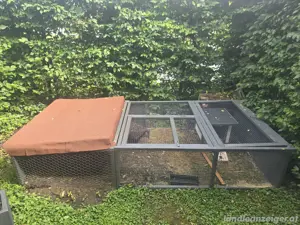 Kleintier Käfig zu verschenken 