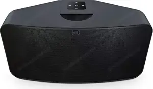 Bluesound Pulse 2i (neu)