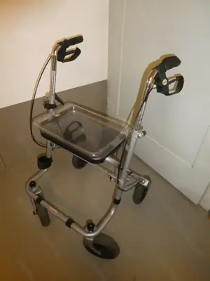 Rollator mit Ablagetablett