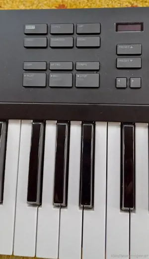 Komplete Kontrol A49 Kontroler Keyboard Bild 3