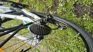 Cube Access Mountainbike Bild 2