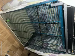 Vogel Käfig dringend zum verkaufen