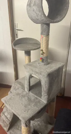 Kratzbaum Grau Bild 5