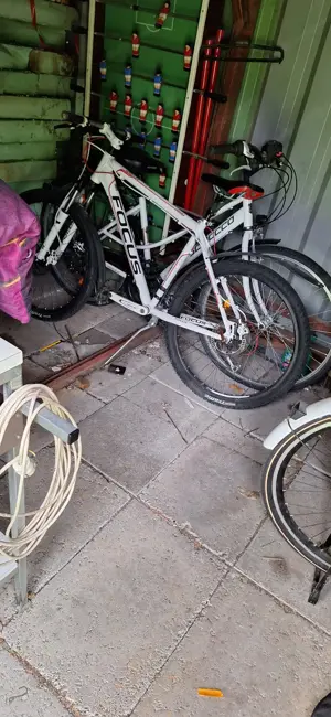 Zu Verkaufen per Selbstabholung Bild 5