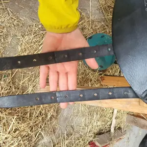 Neuwertiger Dressursattel 17,5 '' Bild 5