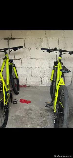 cooles Neon Fahrrad