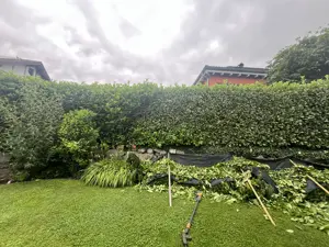 Gartenarbeit Bild 3