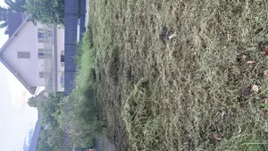Gartenarbeit Bild 2