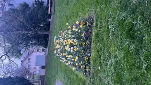 Gartenarbeit Bild 8