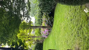Gartenarbeit Bild 6