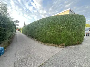 Gartenarbeit Bild 10