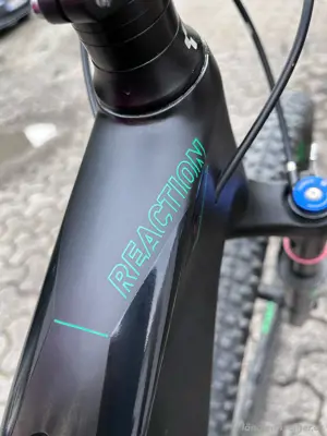 Bike Carbon Bild 2