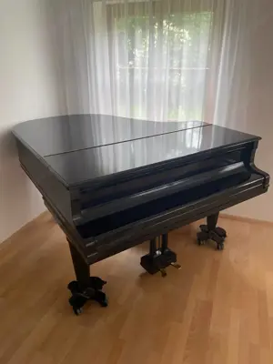 Klavier   Flügel günstig zu vermieten! Bild 2