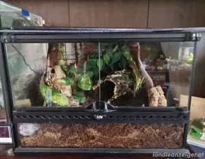 Exo Terra Terrarium 