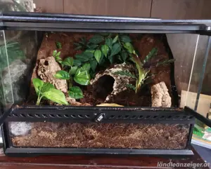 Exo Terra Terrarium  Bild 2