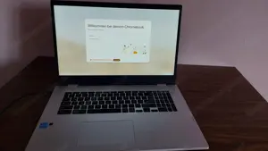 Asus Chromebook CX1700CKA 17,3