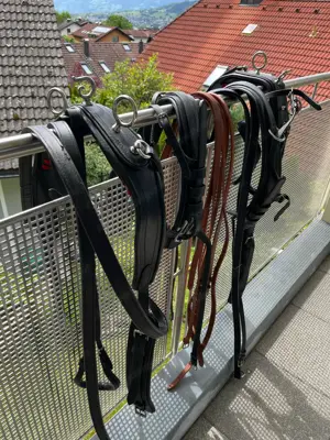 Zweispänner-Brustblattgeschirr für Pony ca. 1,20m