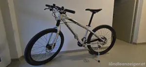 cannondale Fahrad F1 caffeine