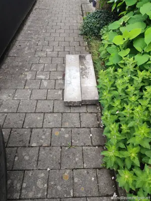 Randstein Grau 100 x 20 x 8 cm  2 Stk.