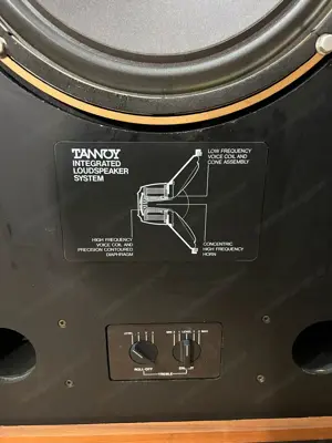 Tannoy Berkeley HBD 385A 15  Zoll Lautsprecher(2x Stück) Bild 7