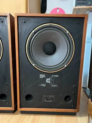 Tannoy Berkeley HBD 385A 15  Zoll Lautsprecher(2x Stück) Bild 5