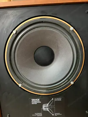 Tannoy Berkeley HBD 385A 15  Zoll Lautsprecher(2x Stück) Bild 9