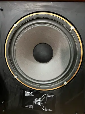 Tannoy Berkeley HBD 385A 15  Zoll Lautsprecher(2x Stück) Bild 10