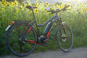 Haibike SPEED 45 kmh Trekking S 9, Yamaha-Motor, 500Wh, 20-G XT Bild 2