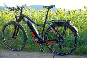 Haibike SPEED 45 kmh Trekking S 9, Yamaha-Motor, 500Wh, 20-G XT