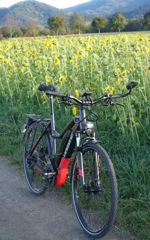 Haibike SPEED 45 kmh Trekking S 9, Yamaha-Motor, 500Wh, 20-G XT Bild 7