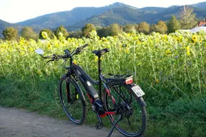 Haibike SPEED 45 kmh Trekking S 9, Yamaha-Motor, 500Wh, 20-G XT Bild 9