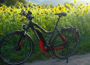 Haibike SPEED 45 kmh Trekking S 9, Yamaha-Motor, 500Wh, 20-G XT Bild 8
