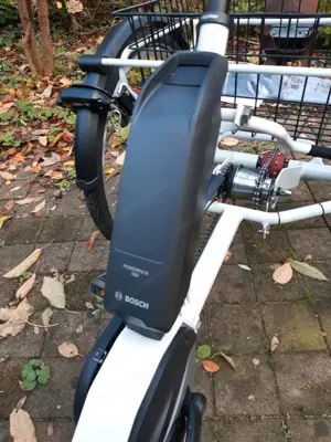 E-Dreirad Trike Combo von PfauTec Bild 6
