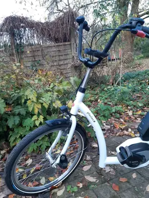 E-Dreirad Trike Combo von PfauTec Bild 8