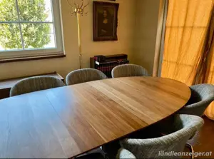 Konferenztisch Esstisch groß oval elliptisch 8 Freischwinger Bild 4