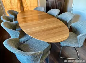 Konferenztisch Esstisch groß oval elliptisch 8 Freischwinger Bild 2