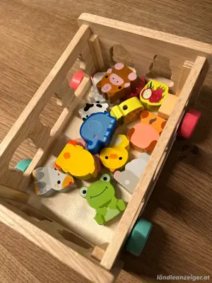 Montessori Holz Sensorikspielzeug Bild 2