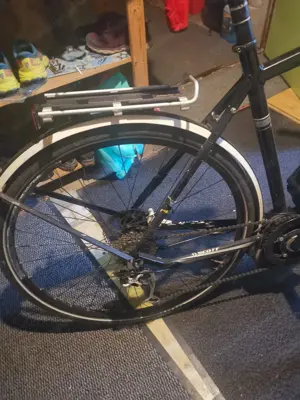 BOSCH Scott E Bike Trekkingrad Bild 5