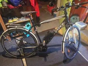 BOSCH Scott E Bike Trekkingrad Bild 4