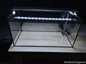 Aquarium 60l Bild 3