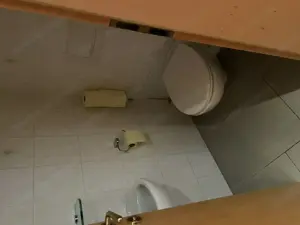 Charmante Wohnung in Altbau zu vermieten Bild 6