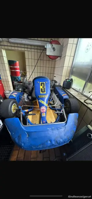 Rennkart Tomkart 125 ccm Motor Bild 3