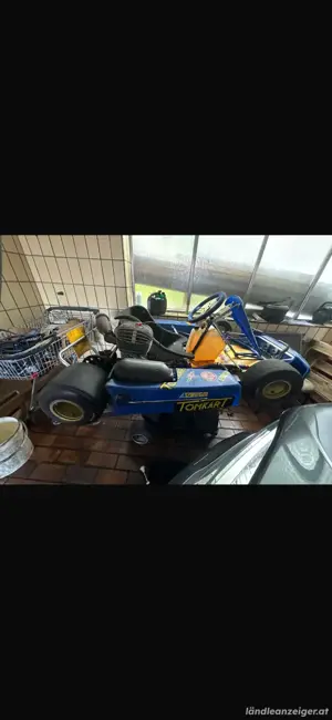 Rennkart Tomkart 125 ccm Motor