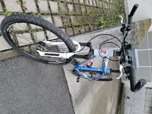 Focus Mountainbike 