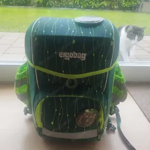 Schultasche Ergobag, gepflegt, mit Federschachtel und Turnsack