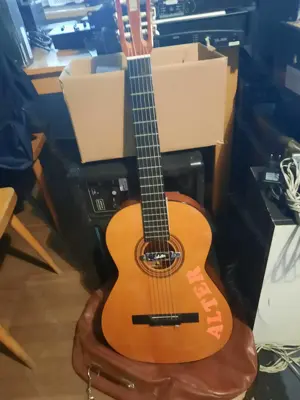 WanderGitarre 